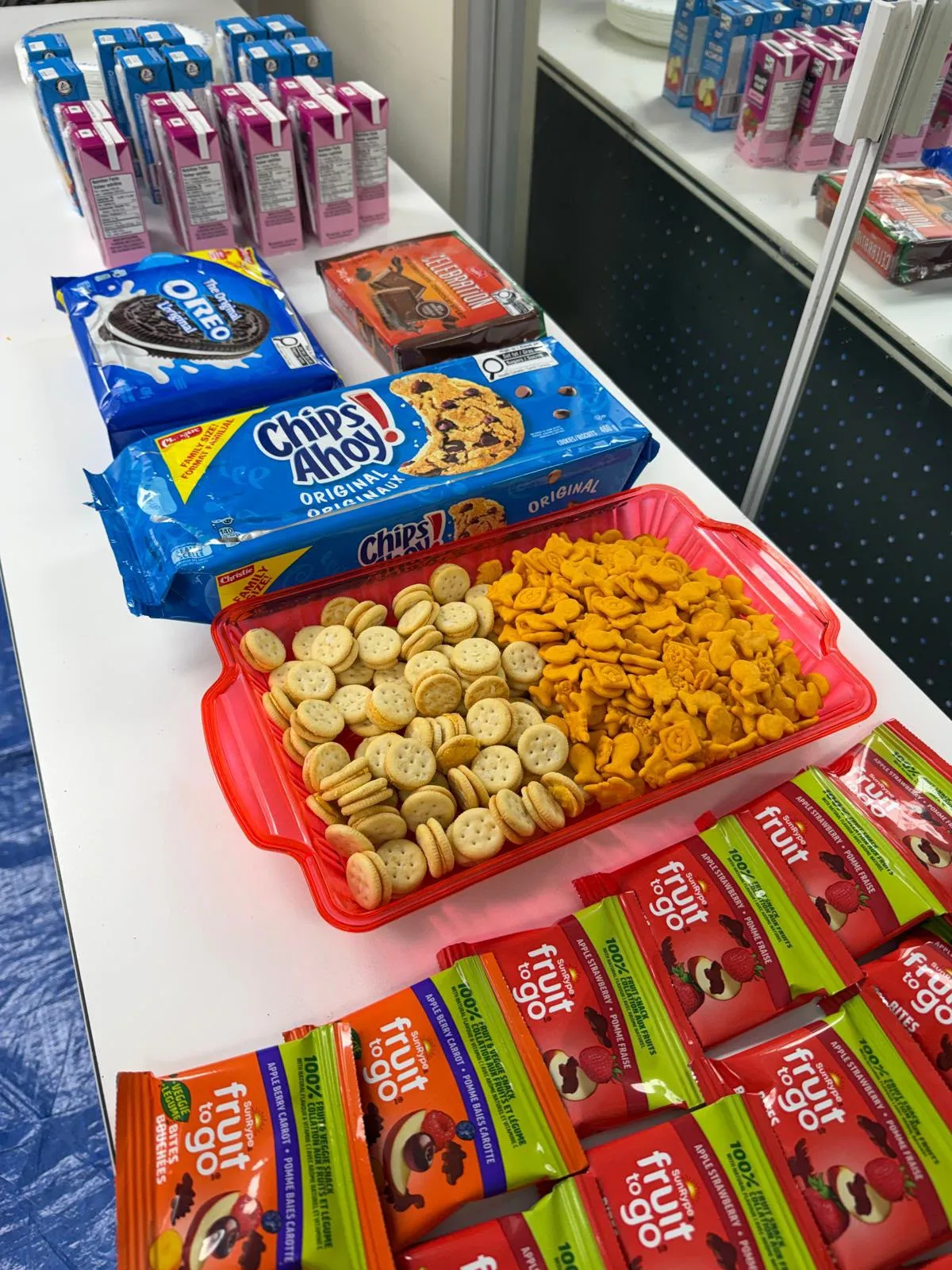 MCCF community event photo